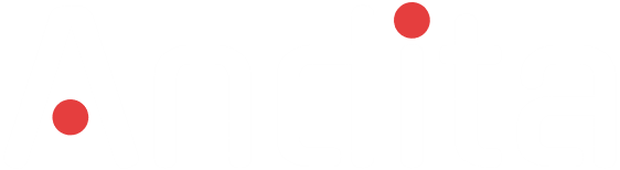Andita Logo