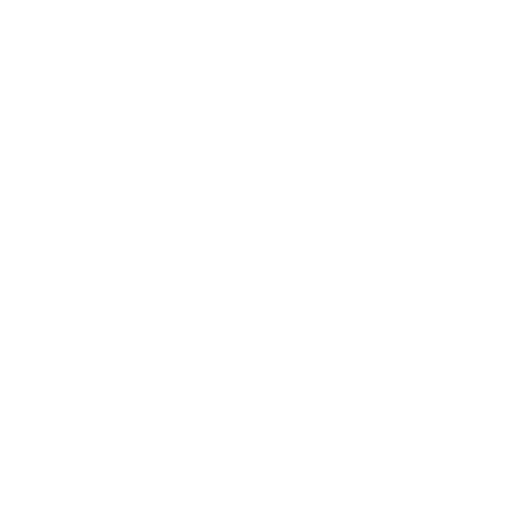 Private Icon